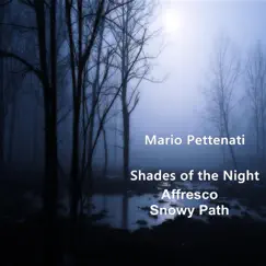 Shades of the Night - Single by Mario Pettenati album reviews, ratings, credits
