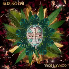 Gokarn Soul Original - Single by Bliz Nochi album reviews, ratings, credits