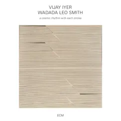 A Cosmic Rhythm with Each Stroke by Vijay Iyer & Wadada Leo Smith album reviews, ratings, credits