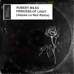 Princess Of Light (Jaques Le Noir Remix) - Single by Robert Miles album reviews, ratings, credits