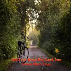Old Love Road But Lack You - Single by Trinh Minh Tuan album reviews, ratings, credits