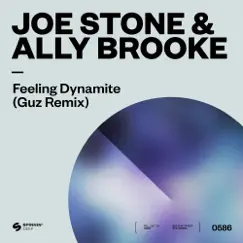 Feeling Dynamite (Guz Remix) - Single by Joe Stone & Ally Brooke album reviews, ratings, credits