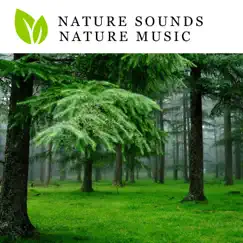Nature Sounds Nature Music by Nature Sounds Nature Music album reviews, ratings, credits