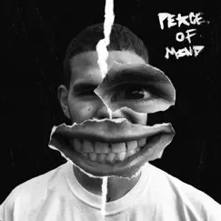Peace of Mind - Single by Slowthai album reviews, ratings, credits
