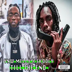 Till the End (feat. Skooly) - Single by YNW Melly album reviews, ratings, credits