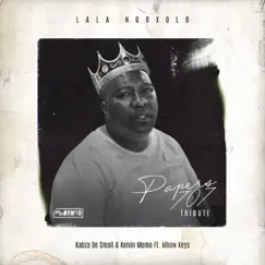 Lala Ngoxolo (Tribute To Papers 707) [feat. Mhaw Keys] - Single by Kabza De Small & Kelvin Momo album reviews, ratings, credits