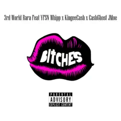 Bitches (feat. Yfsn Whipp, Kingee Cash & CashGhost Jmoe) - Single by 3rd World Rara album reviews, ratings, credits