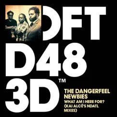 What Am I Here For? (Kai Alcé's NDATL Remixes) by The DangerFeel Newbies album reviews, ratings, credits