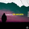 No Importa - Single album lyrics, reviews, download