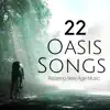 22 Oasis Songs: Relaxing New Age Music, Piano Music, Ambient Songs, Nature Sounds for your Wellbeing album lyrics, reviews, download