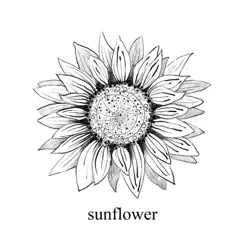 Sunflower - EP by Claudiodas album reviews, ratings, credits