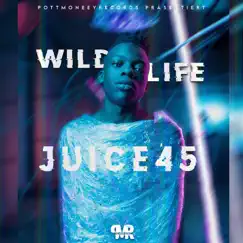 Wildlife - Single by Juice 45 album reviews, ratings, credits