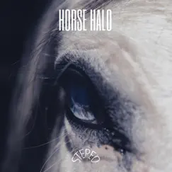 Horse Halo by Horse Halo album reviews, ratings, credits