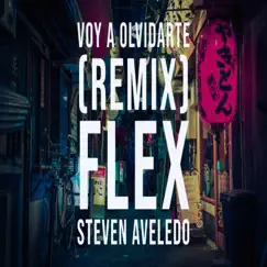 Voy a Olvidarte (Remix) - Single by Steven Aveledo & Flex album reviews, ratings, credits