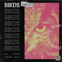 Birds (feat. Onlywav & Unotimestwo) Song Lyrics