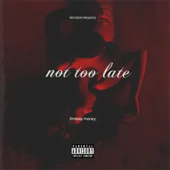 Not Too Late by Litnesay Money album reviews, ratings, credits