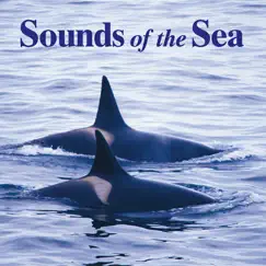 Sounds of the Sea by John Grout album reviews, ratings, credits