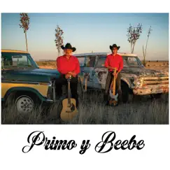 Nos Estorbo la Ropa (feat. David Beebe & Primo Carrasco) Song Lyrics