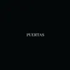 PUERTAS - Single album lyrics, reviews, download