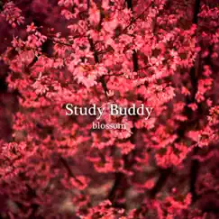 Blossom - Single by Study Buddy album reviews, ratings, credits