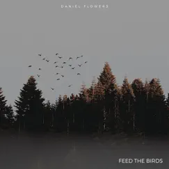 Feed the Birds (Arr. for Guitar) - Single by Daniel Flowers album reviews, ratings, credits