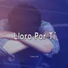 Lloro Por Tí (Instrumental) - Single album lyrics, reviews, download