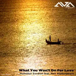 What You Won't Do For Love (feat. Nell Shakespeare) - Single by Monsieur ZonZon album reviews, ratings, credits