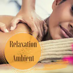 Relaxation Ambient - Zen Ambient Relax Music for Massage and Spa Treatments at Home by Shades of Wellness & Sean Clear album reviews, ratings, credits