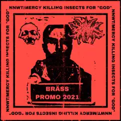 Nnwt/Mercy Killing Insects For God Song Lyrics