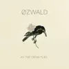 As the Crow Flies - Single album lyrics, reviews, download