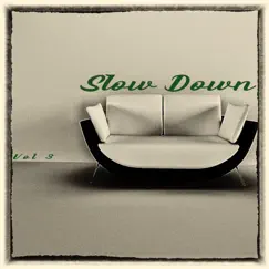 Slow Down, Vol. 3 - Selected and Finest Chillout Beats by Various Artists album reviews, ratings, credits