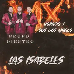 Las Isabeles (En Vivo) [feat. Horacio Y Sus Dos Amigos] - Single by Grupo Diestro album reviews, ratings, credits