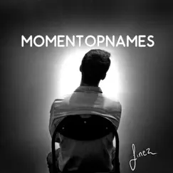 Momentopnames by Finez album reviews, ratings, credits