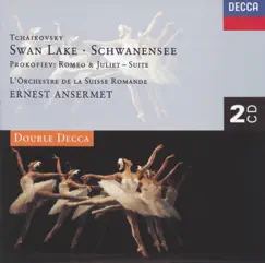 Swan Lake, Op. 20: No. 13b Danse Des Cygnes: Odette Solo/Première Danse de la Reine Des Cygnes (Moderato Assai) Song Lyrics