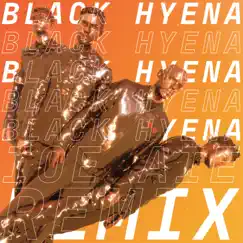 Black Hyena (IOE AIE Remix) - Single by Everything Everything album reviews, ratings, credits