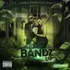 Bandz up Vol. 1 (feat. Dj Bandz) album lyrics, reviews, download
