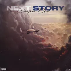 Next Story - Single by Wayne Ellis album reviews, ratings, credits