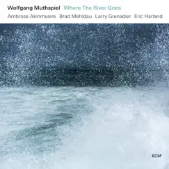 Where the River Goes by Wolfgang Muthspiel, Ambrose Akinmusire, Brad Mehldau, Larry Grenadier & Eric Harland album reviews, ratings, credits