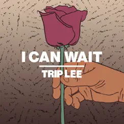 I Can Wait - Single by Trip Lee album reviews, ratings, credits