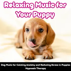 Relaxing Music for Your Puppy: Dog Music for Calming Anxiety and Reducing Stress in Puppies (Hypnosis Therapy) by Relax My Puppy & Relaxmydog album reviews, ratings, credits