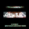 Sandwitches (feat. Hodgy Beats) - Single album lyrics, reviews, download