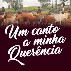 Um Canto a Minha Quêrencia - Single by Renaldo Borges de Andrade Júnior album reviews, ratings, credits