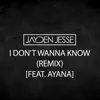 I Don't Wanna Know (feat. Ayana) [Remix] - Single album lyrics, reviews, download