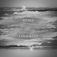 Cold Wind - Single by Fjara album reviews, ratings, credits