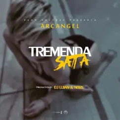 Tremenda Sata (feat. Arcángel) - Single by DJ Luian album reviews, ratings, credits