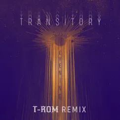 Transitory Evening (Afro Travel) (feat. Haji Mike) [T-ROM Remix] Song Lyrics