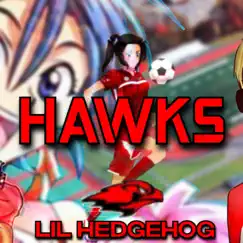 Hawks Song Lyrics