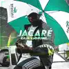 Jacaré Que Dorme - Single album lyrics, reviews, download