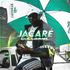 Jacaré Que Dorme - Single by KayBlack & Fortune album reviews, ratings, credits