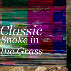 Snake in the Grass Song Lyrics